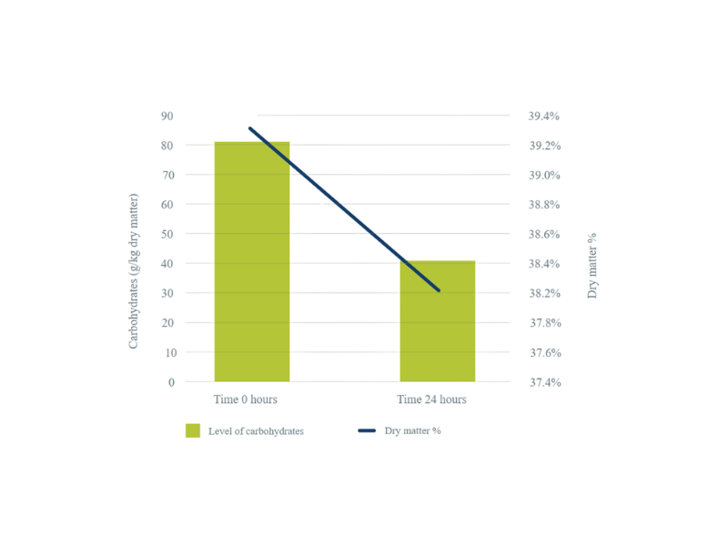Figure 2. Effect of microbial fermentation in TMR on dry matter and sugar content in TMR within 24h after production – Selko study 2010