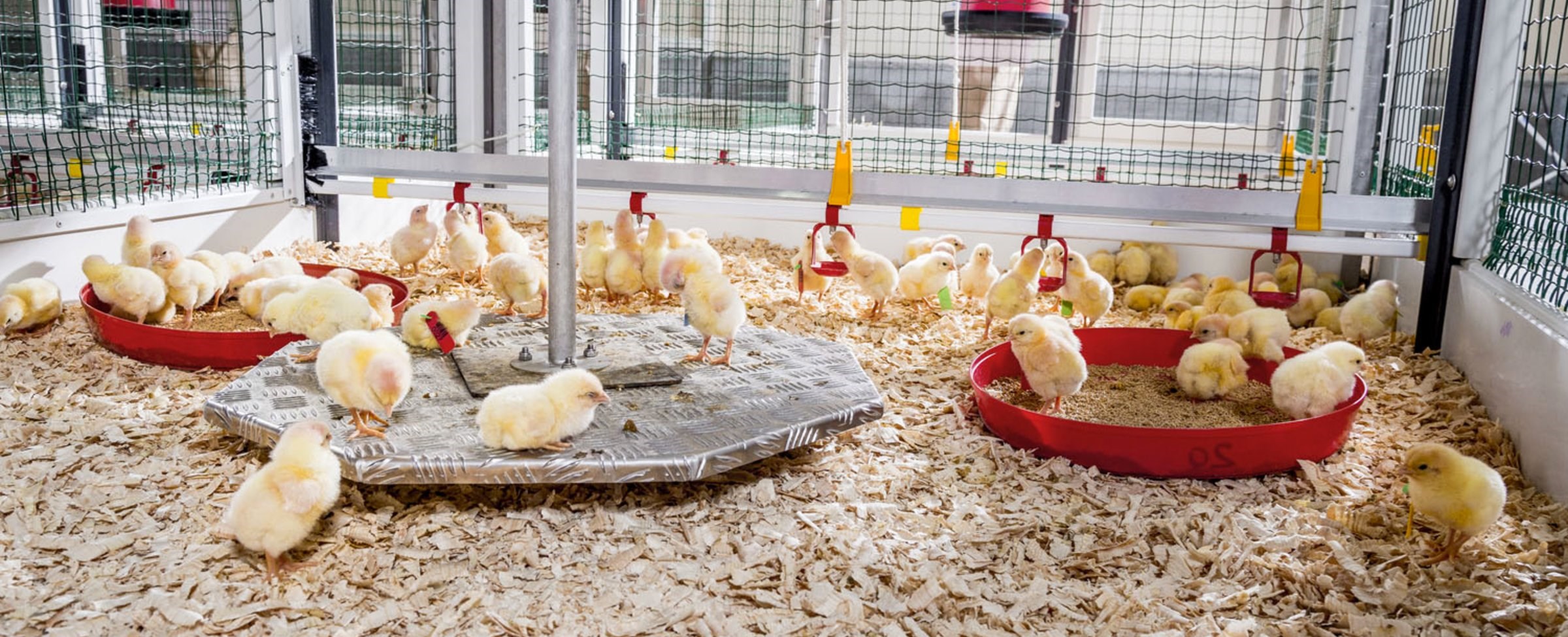 Poultry Research Facility