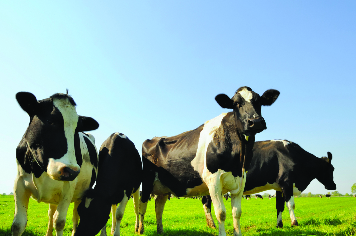 Unlocking Genetic Potential